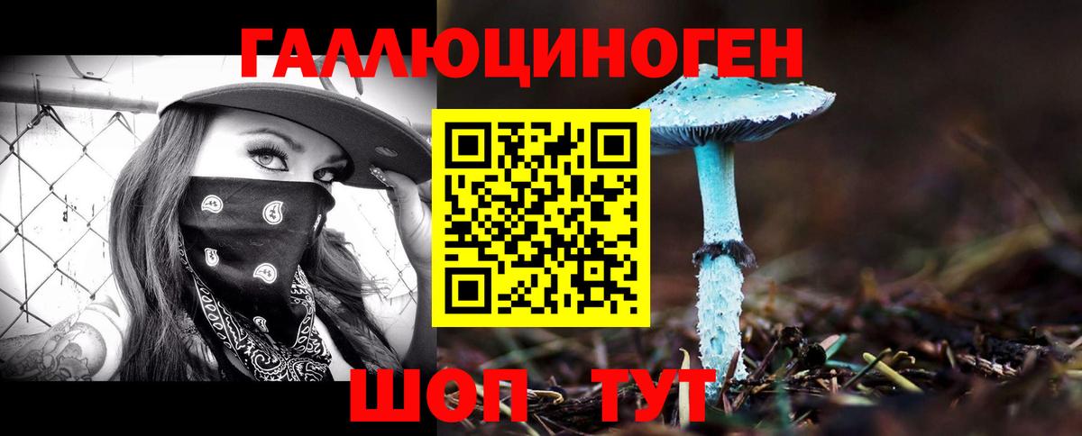 Псилоцибиновые грибы Psilocybine cubensis  Вход с VPN  Фрязино  Псилоцибиновые грибы GOLDEN TEACHER 